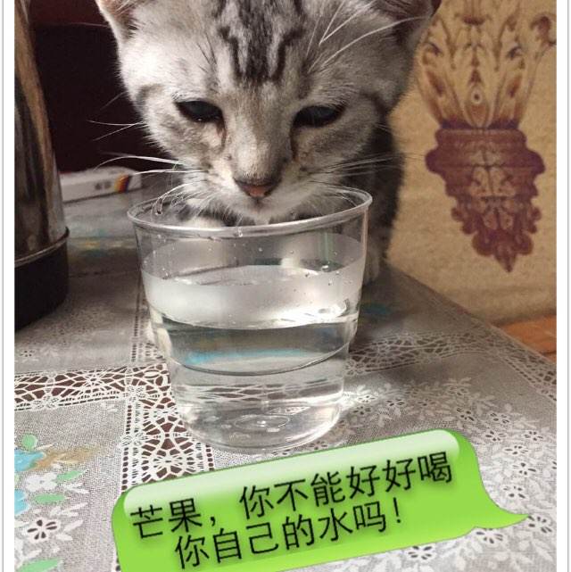 卡马逊郡学院文凭毕业证哪里能买到
